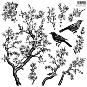 Shade & Song Stamp 12x12 IOD H2 Home Designs